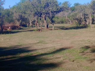 Foto 12 de Loteo 