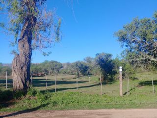 Foto 15 de Loteo 