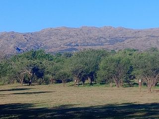 Foto 16 de Loteo 