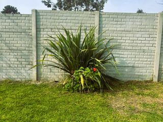 Foto 15 de Vendo linda casa en av. Reusche, Pachacamac