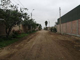 Foto 2 de Terreno en Venta, 5,763 m2, con Pozo Subterráneo Propio en Pachacamac