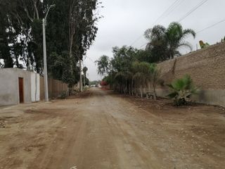 Foto 3 de Terreno en Venta, 5,763 m2, con Pozo Subterráneo Propio en Pachacamac