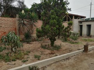 Foto 7 de Terreno en Venta, 5,763 m2, con Pozo Subterráneo Propio en Pachacamac
