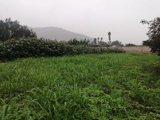 Foto 1 de Terreno en Venta, 5,763 m2, con Pozo Subterráneo Propio en Pachacamac
