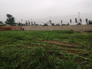 Foto 9 de Terreno en Venta, 5,763 m2, con Pozo Subterráneo Propio en Pachacamac