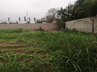 Foto 10 de Terreno en Venta, 5,763 m2, con Pozo Subterráneo Propio en Pachacamac