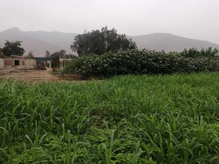 Foto 12 de Terreno en Venta, 5,763 m2, con Pozo Subterráneo Propio en Pachacamac