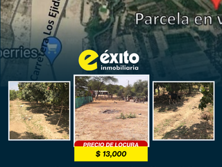 Foto 11 de VENDO TERRENO AGRICOLA EN CIENEGUILLO SUR - PIURA