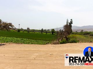 Foto 23 de SE VENDE TERRENO EN SANTA MARIA DE CARABAYLLO