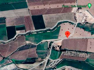 Foto 2 de SE VENDE TERRENO DE CAMPO EN PISCO