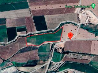 Foto 3 de SE VENDE TERRENO DE CAMPO EN PISCO