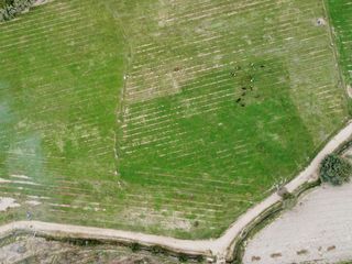 Foto 4 de SE VENDE TERRENO DE CAMPO EN PISCO