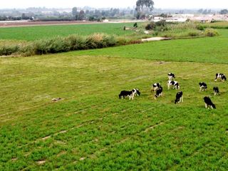 Foto 6 de SE VENDE TERRENO DE CAMPO EN PISCO