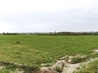 Foto 7 de SE VENDE TERRENO DE CAMPO EN PISCO