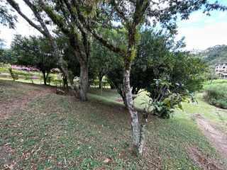Foto 13 de CASA CAMPESTRE MONIQUIRA VENTA