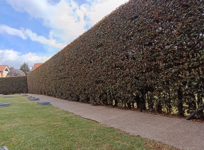 place photo 36
