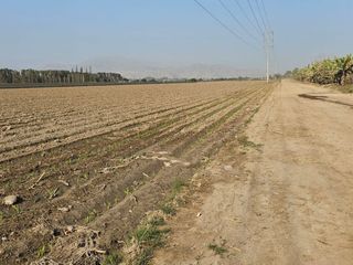 Foto 1 de SE VENDE TERRENO EN ALTO LARAN, CHINCHA ALTA