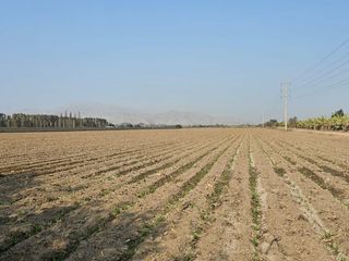 Foto 2 de SE VENDE TERRENO EN ALTO LARAN, CHINCHA ALTA