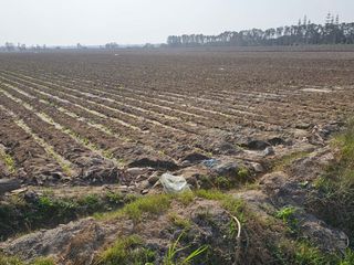 Foto 3 de SE VENDE TERRENO EN ALTO LARAN, CHINCHA ALTA
