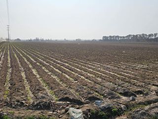 Foto 4 de SE VENDE TERRENO EN ALTO LARAN, CHINCHA ALTA