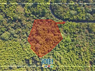Foto 1 de Terreno de 2.5 HA en venta, en Pacoche, Manta.
