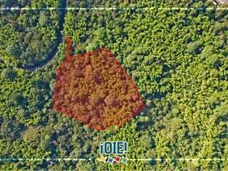 Foto 2 de Terreno de 2.5 HA en venta, en Pacoche, Manta.