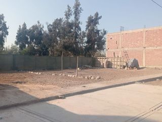 Foto 5 de TERRENO EN REMATE EN PRESTIGIOSA QUINTA LAS GARDENIAS !