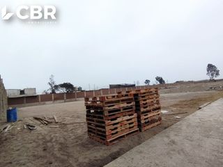 Foto 7 de ALQUILER TERRENO EN LURIN
