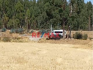 Foto 2 de Venta de Terreno Agricola en Valle Mantaro, Jauja, 4,512M2.
