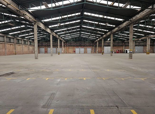 place photo 12