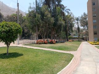 Foto 10 de ¿BUSCAS VIVIR EN UN LUGAR TRANQUILO Y RODEADO DE LA NATURALEZA? TE OFREZCO UN DPTO A PRECIO DE OCASIÓN EN ÑAÑA!
