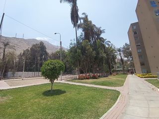 Foto 21 de ¿BUSCAS VIVIR EN UN LUGAR TRANQUILO Y RODEADO DE LA NATURALEZA? TE OFREZCO UN DPTO A PRECIO DE OCASIÓN EN ÑAÑA!