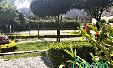 place photo 57