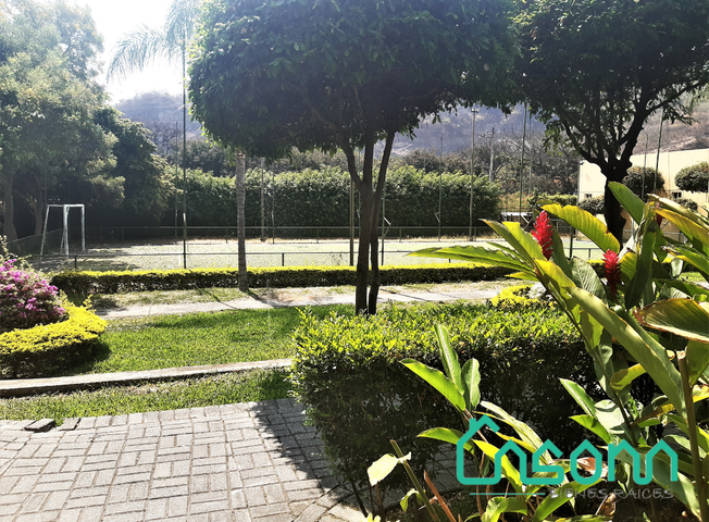 place photo 57