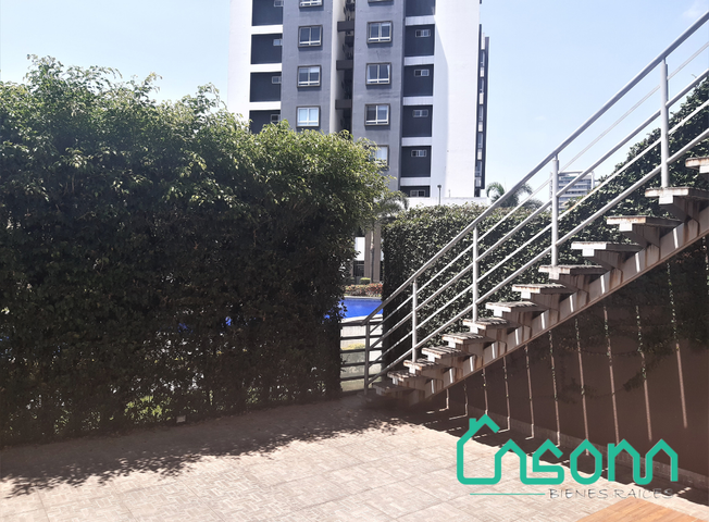 place photo 66