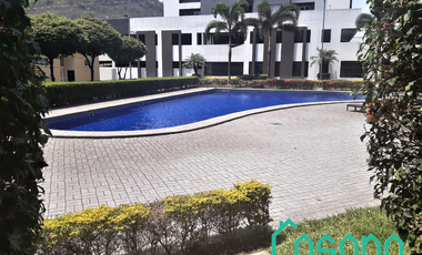 place photo 62