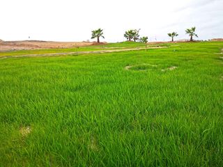 Foto 2 de Venta De Terreno En Exclusivo Flamencos Condominio Resort