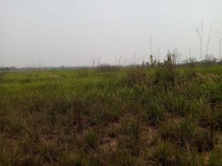Foto 13 de VENDO AMPLIO TERRENO EN MANANTAY - PUCALLPA