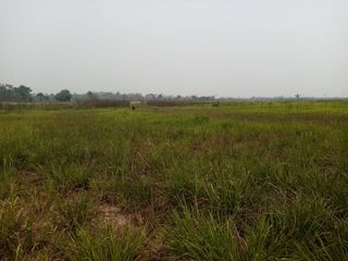 Foto 14 de VENDO AMPLIO TERRENO EN MANANTAY - PUCALLPA