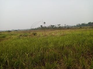 Foto 16 de VENDO AMPLIO TERRENO EN MANANTAY - PUCALLPA