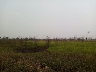 Foto 19 de VENDO AMPLIO TERRENO EN MANANTAY - PUCALLPA