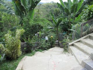 Foto 20 de VENTA FINCA A OCHO MINUTOS DE BUGA VALLE