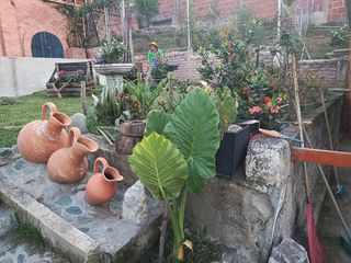 Foto 39 de VENTA FINCA A OCHO MINUTOS DE BUGA VALLE