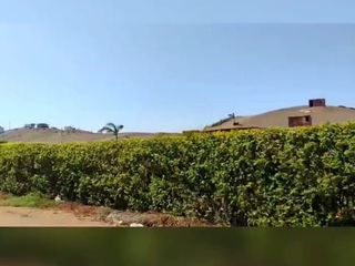 Foto 7 de VENTA DE TERRENO EN CHANCAY
