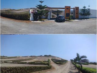 Foto 13 de VENTA DE TERRENO EN CHANCAY