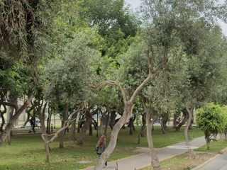 Terreno en Venta en San Borja - Bild 2