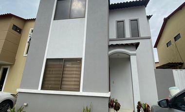 similar_image