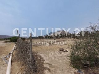 Foto 4 de Vendo Terreno Plano Ideal Para Proyecto Inmobiliario, Condominio en Pucusana