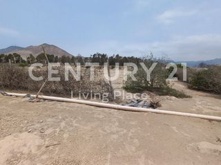 Foto 5 de Vendo Terreno Plano Ideal Para Proyecto Inmobiliario, Condominio en Pucusana