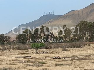 Foto 6 de Vendo Terreno Plano Ideal Para Proyecto Inmobiliario, Condominio en Pucusana